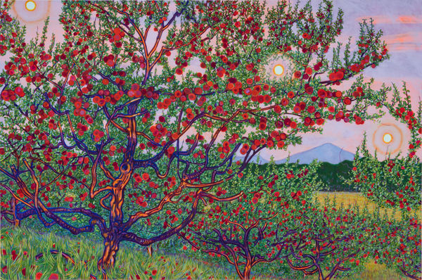 Image of an apple orchard