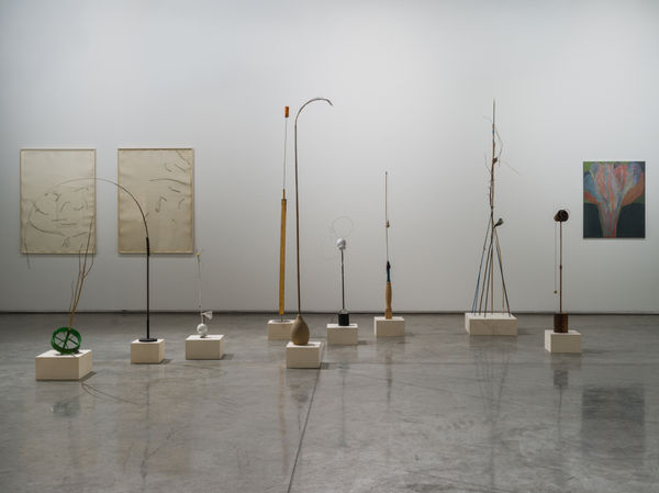 Photograph by Altamash Urooj