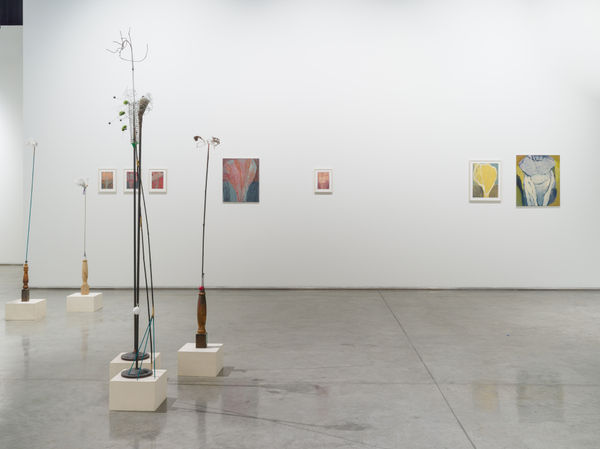 Photograph by Altamash Urooj