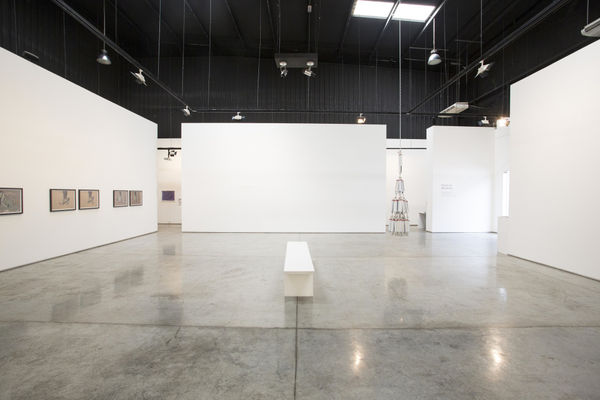 POETICS AND MEANINGS