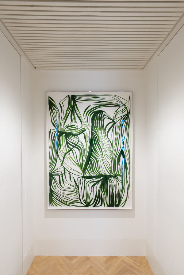 Installation Photography Language Of Line March 2024 Highres 18