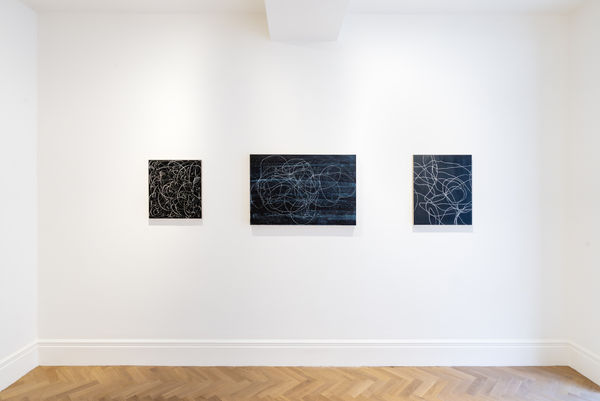 Installation Photography Language Of Line March 2024 Highres 3