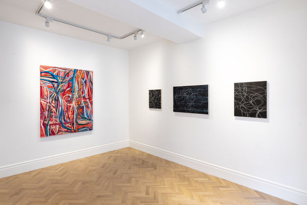 Installation Photography Language Of Line March 2024 Highres 4