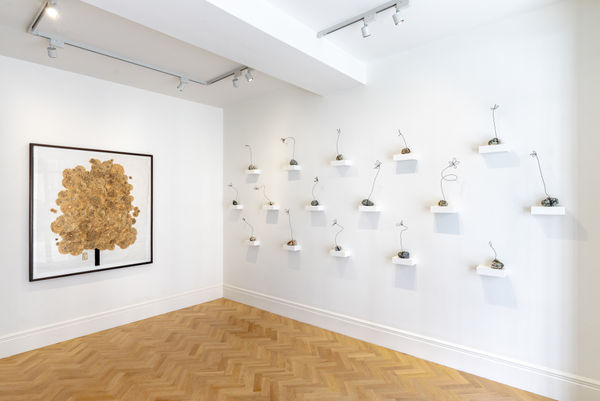 Batch2 Kate Daudy Installation Photography May 2024 Lyndsey Ingram Gallery Highres 18