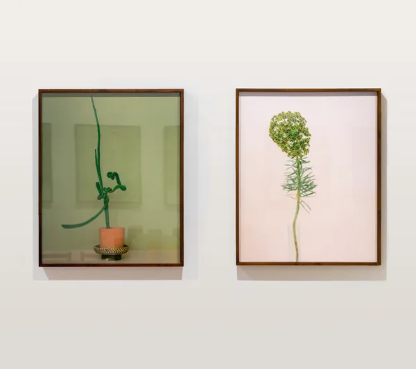 Katefriend Aschosenby Installationphotography November2021 Highres Pairs 8