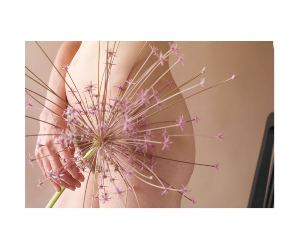 Georgie Hopton Allium Schubertii, 2009 Archival inkjet print on fibre paper. Signed verso and numbered from the edition of 4, with 2 artists proofs. 30.2 x 20.2 cm (11 7/8 x 8 in)