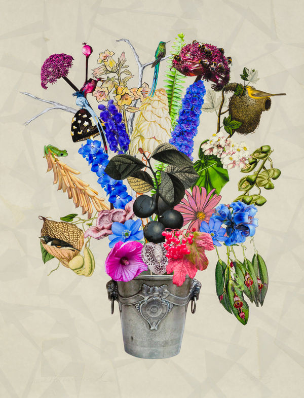 Champagne Bucket with Paradise Flycatcher, Angelica Gigas and Canterbury Bells, 2023 Unique botanical collage using linocut, digital printing, coloured pencil, Sumi ink, watercolour and gouache, hand cut and assembled on collaged Japanese papers over cotton rag. Signed in pencil. 127 x 96.5 cm (50 x 38 in)