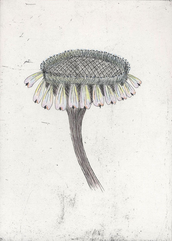 Kiki Smith Untitled (from Escapades), 2011 Etching with hand-colouring. Signed in pencil and numbered 17 from the edition of 18, with 5 artist's proofs. 38.1 x 27.94 cm (15 x 11 in)