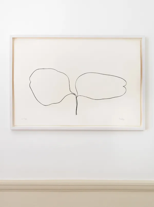 Ellsworth Kelly Locust (Acacia), 1965-66 Lithograph. Signed in pencil and numbered 21 from the edition of 75, with 10 artist's proofs. Published by Maeght Éditeur, Paris. Printed on Rives BFK wove paper by Imprimerie Arte, Paris. (Axsom 52) 60.8 x 89.8 cm (24 x 35 3/8 in)