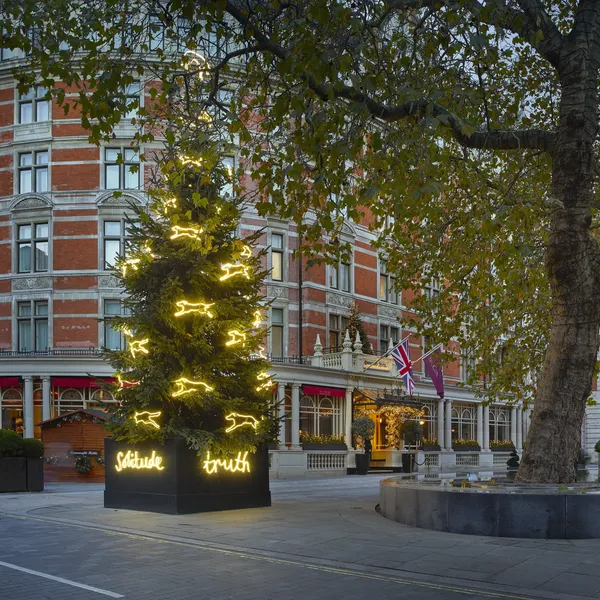 The Connaught Christmas Tree 2022 Suzy Murphy