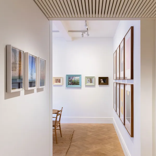 Nature Observed install exhibition image