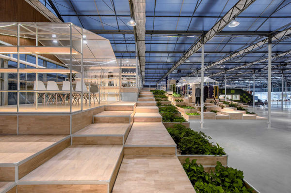 Jiaxing Xiyue Rural Complex Exhibition Center / 中國大陸, 安道設計 / 中國大陸