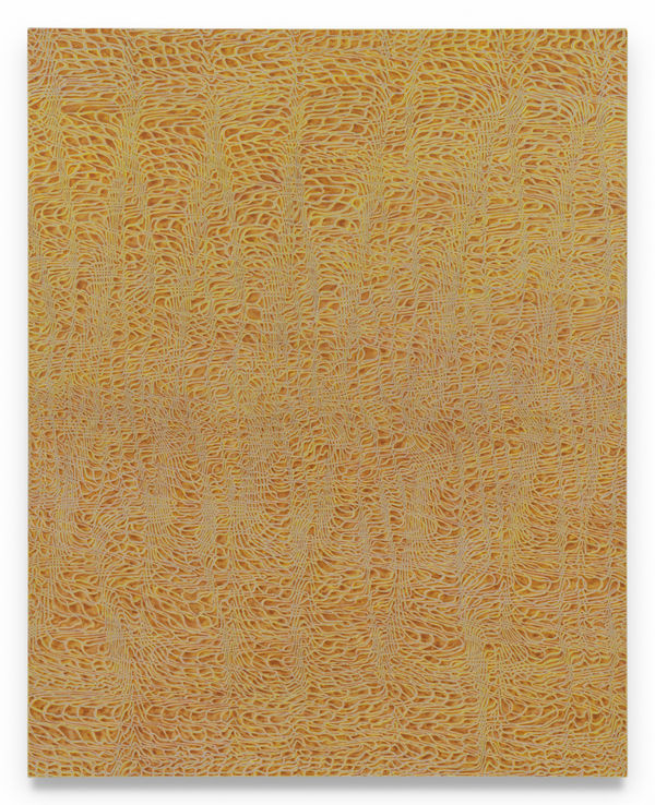 JAMES SIENA PHENOTASP, 2024 Acrylic and graphite on linen 60 x 48 inches 152.4 x 121.9 cm (MMG#37234)