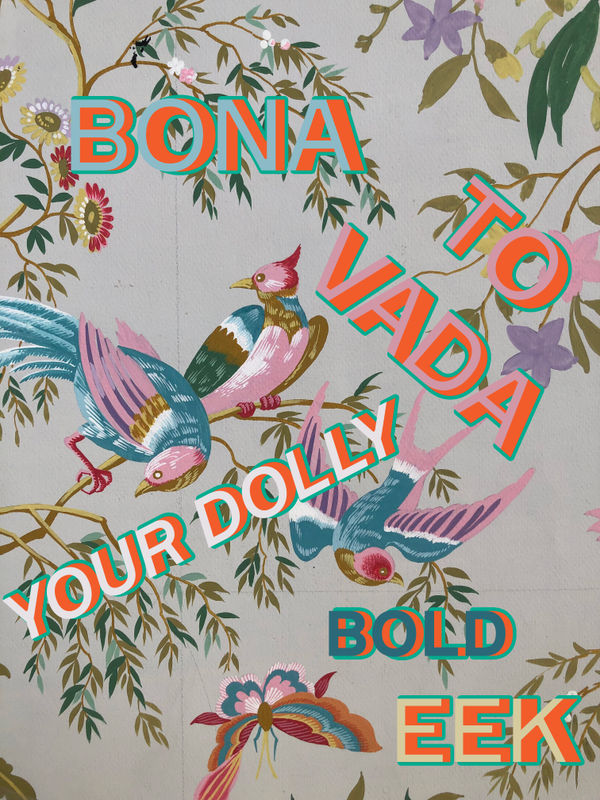 ASSUME VIVID ASTRO FOCUS: BONA TO VADA YOUR DOLLY BOLD EEK