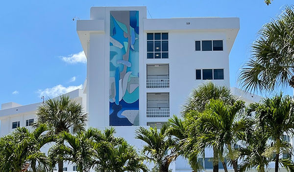 Assume Vivid Astro Focus . Public Intervention