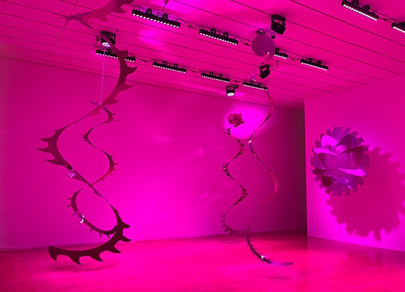 LYZ PARAYZO . 17e BIENNALE D'ART CONTEMPORAIN DE LYON