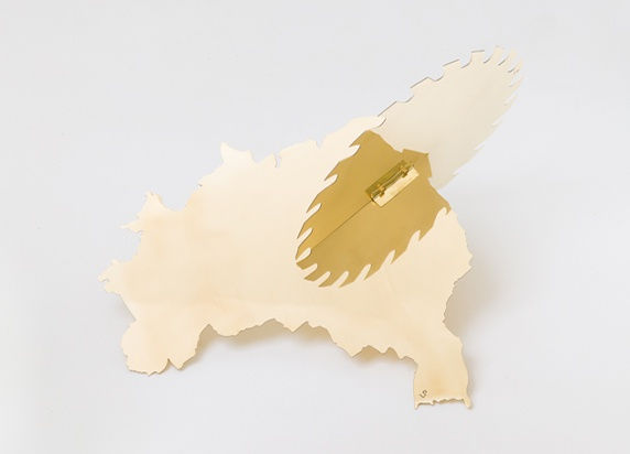 LYZ PARAYZO . PINACOTECA: ACERVO