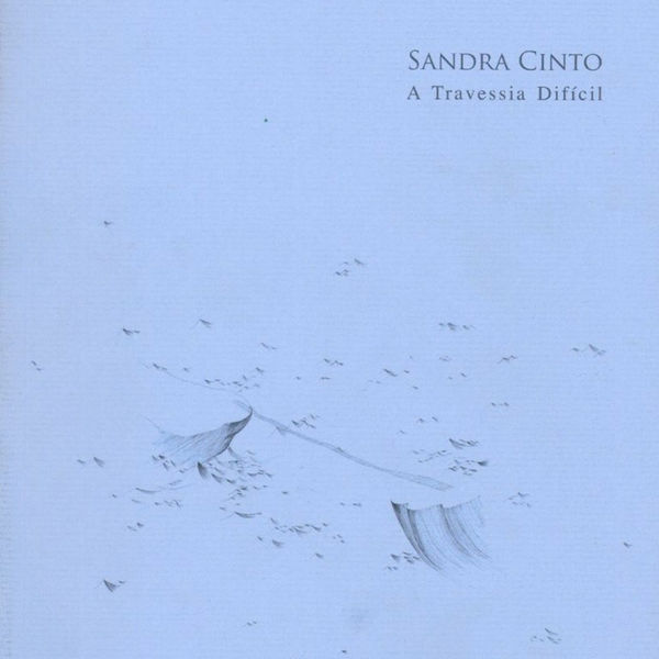 Sandra Cinto: A Travessia Difícil