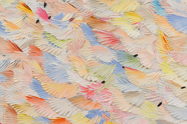 Dashiell Manley | Solo Exhibition