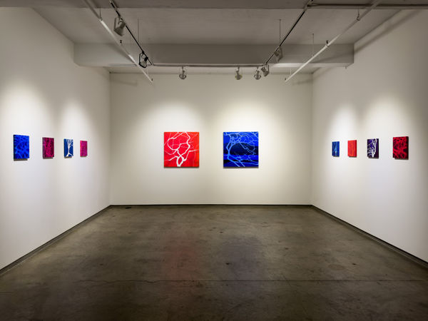 Hester Simpson 2024 Installation 1