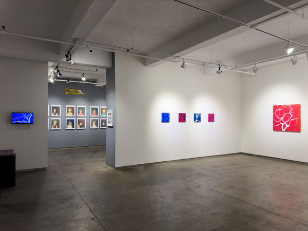 Hester Simpson 2024 Installation 11