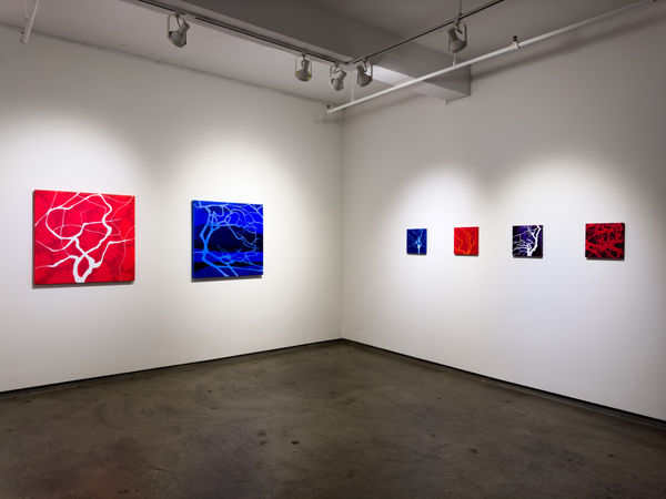 Hester Simpson 2024 Installation 4