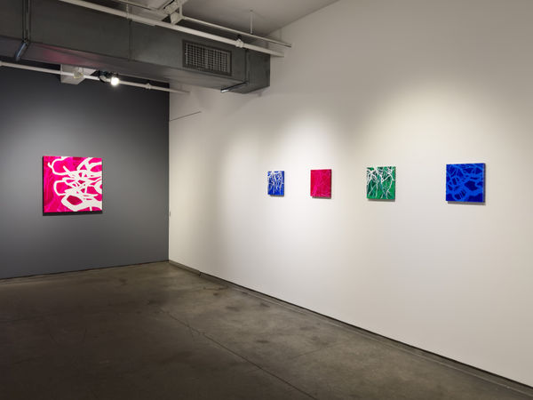 Hester Simpson 2024 Installation 5