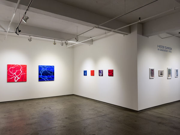 Hester Simpson 2024 Installation 9