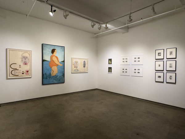 Scantily Installation 5