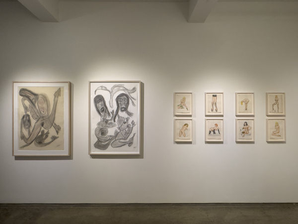 Scantily Installation 8