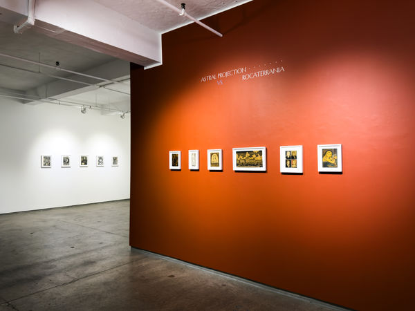 Wallace Kuhler Installation 3