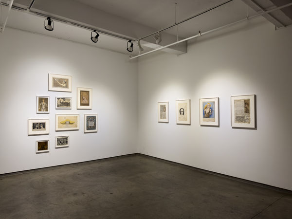 Wallace Kuhler Installation 4