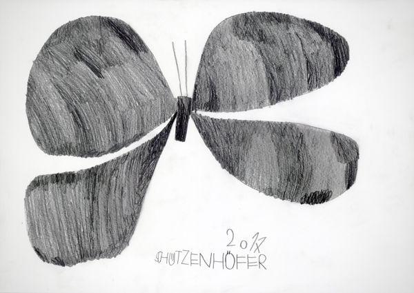 Butterfly, 2017 Graphite on paper 16.5 x 23.4 in. (42 x 59.5 cm.) (GSG 110)