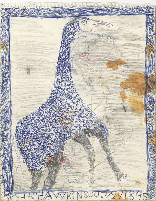 Chicken Head Ballpoint pen and graphite on paper 14 x 11 in. (35.6 x 27.9 cm) (WH 410) SOLD