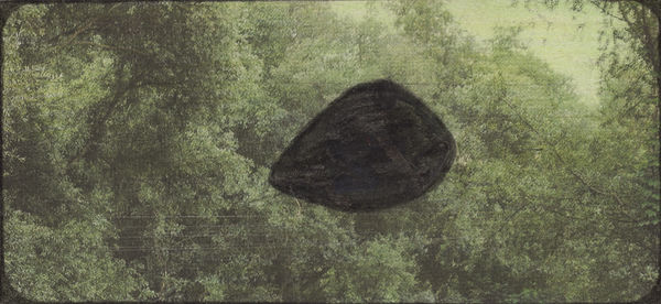 2020 2.7 x 5.7 in. (6.8 x 14.6 cm) (LpS 335)