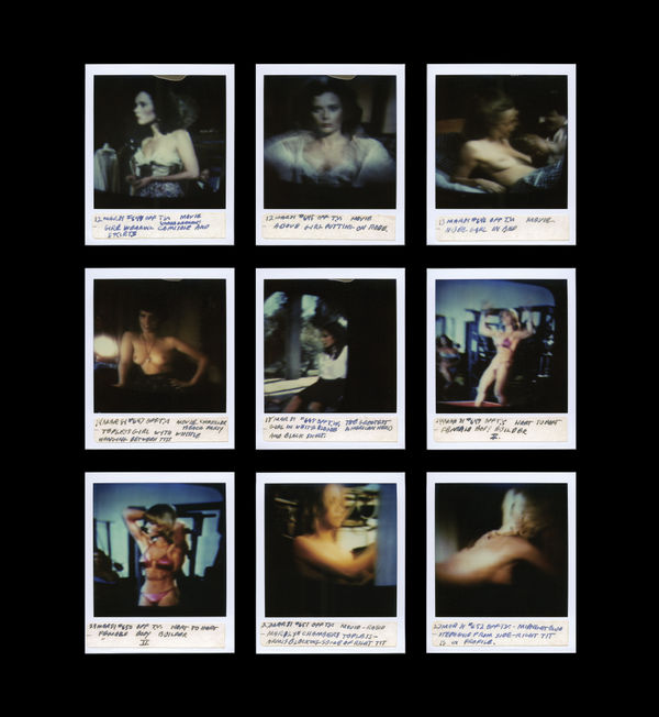 Tom Wilkins My TV Girls #077, 1981 Grid of nine SX-70 Polaroids 18 1/8 x 15 3/8 in. (46 x 39 cm) (TWk 9)