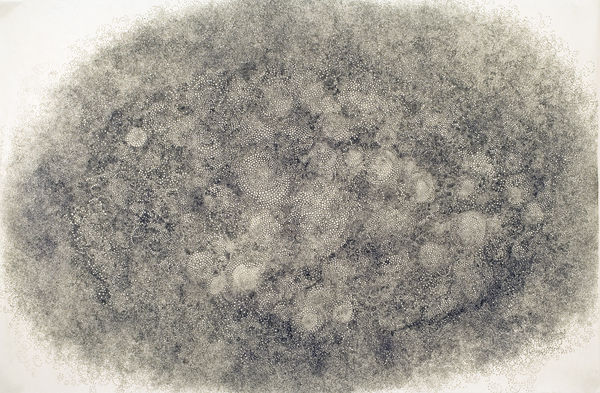 Untitled, 2010 Ink on Washi paper 26 1/2 x 39 7/8 in. (67.3 x 101.3 cm) (HD 2710)