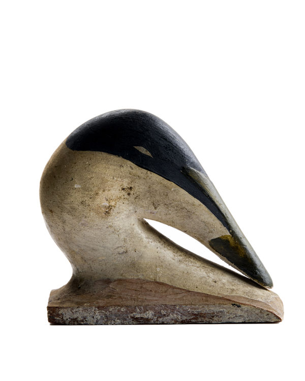 Gus Wilson Eider Decoy Head, ca. 1910-15 Wood with polychrome (custom base) 5 x 6 1/2 x 2 in. (12.7 x 16.5 x 5.1 cm) (GuW 1) $ 7,000 ••• Augustus Aaron “Gus” Wilson (1864–1950), the famed Maine carver and lighthouse keeper, had a gift for turning wildfowl into pure, economical form. This decoy head shows him working at his most distilled: the bird reduced to a single sweeping arc, head tucked, and beak folded back along the curve of the neck. The muted paint and timeworn surface read less as hard use than as an object that stayed behind while others went to work on the water. An exquisite sculpture: a compact, modern-feeling meditation on a resting body, all momentum gathered into one quiet, tender gesture.