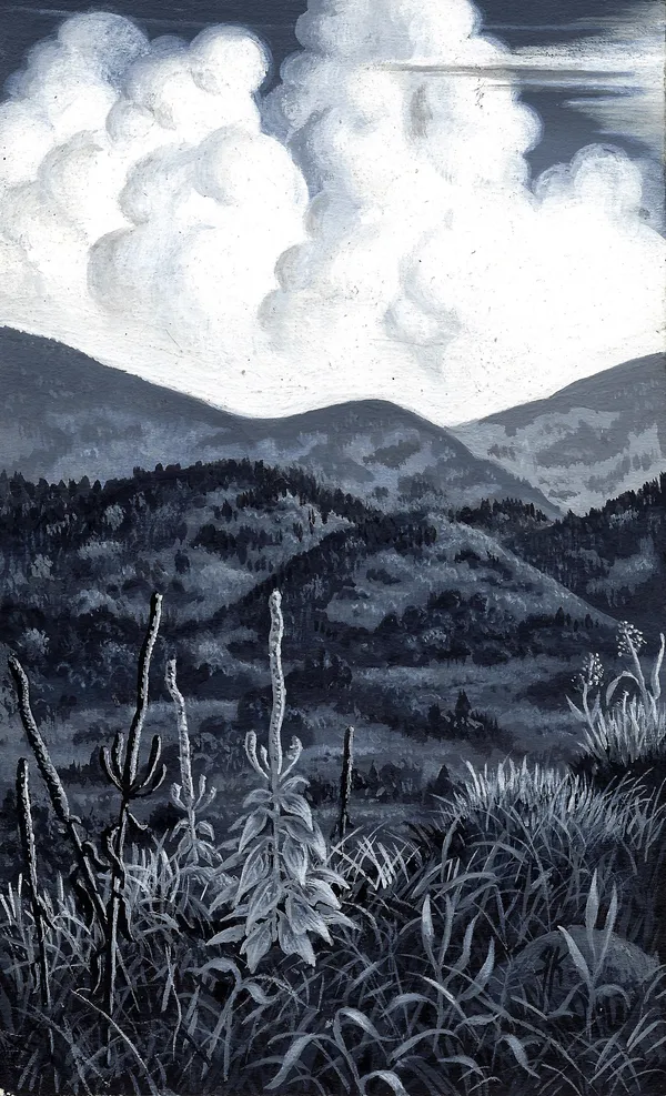 Mullein grove in the Thunder Mountain region #6, 1970s Gouache on paper 6 1/2 x 4 in. (16.5 x 10.2 cm) (RK 170) SOLD