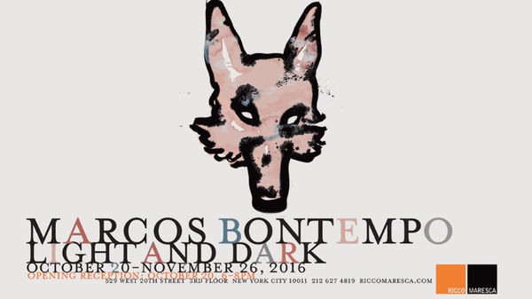 Marcos Bontempo: Light and Dark