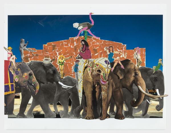 ABIGAIL FRANKFURT: ABSOLUTELY COO COO Online Exclusive