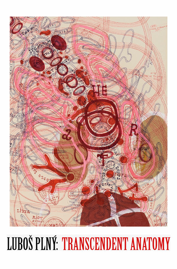 Luboš Plný: Transcendent Anatomy Online Exclusive