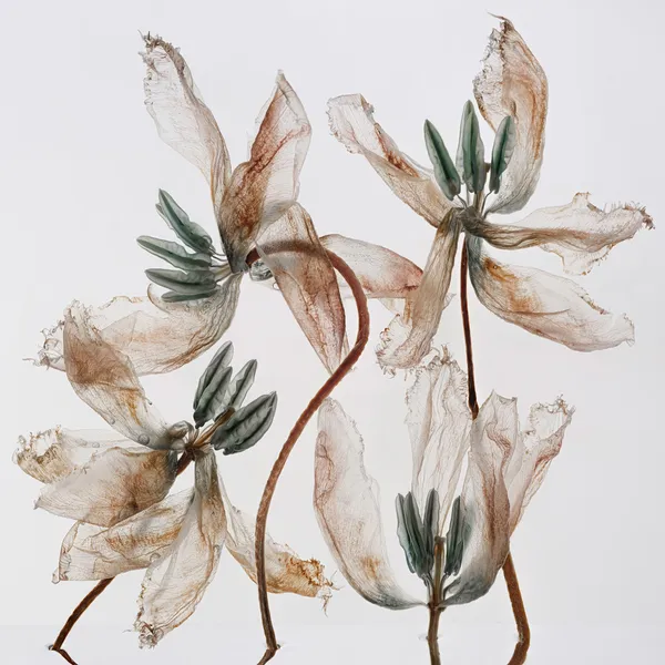 Read about Kathrin Linkersdorff: Works, Solo Exhibition: Kathrin Linkersdorff - Works