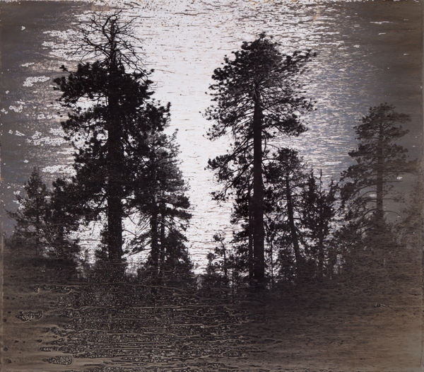 Herbert F. Johnson Museum Acquires Work by Matthew Brandt