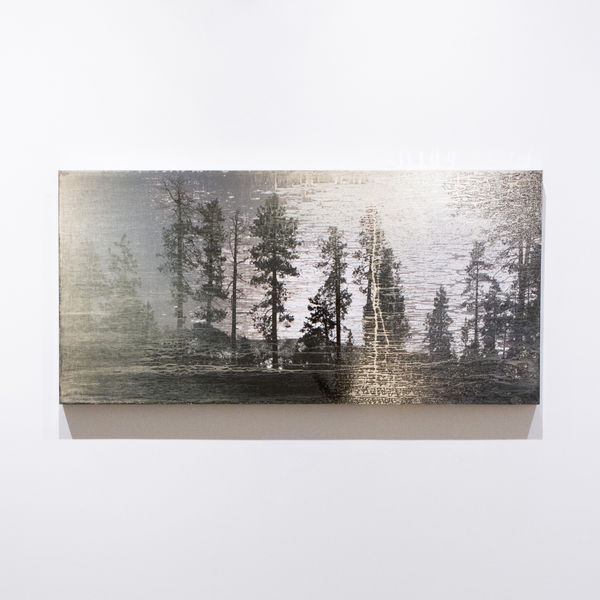 University Museums, Iowa State University Acquires work by Matthew Brandt