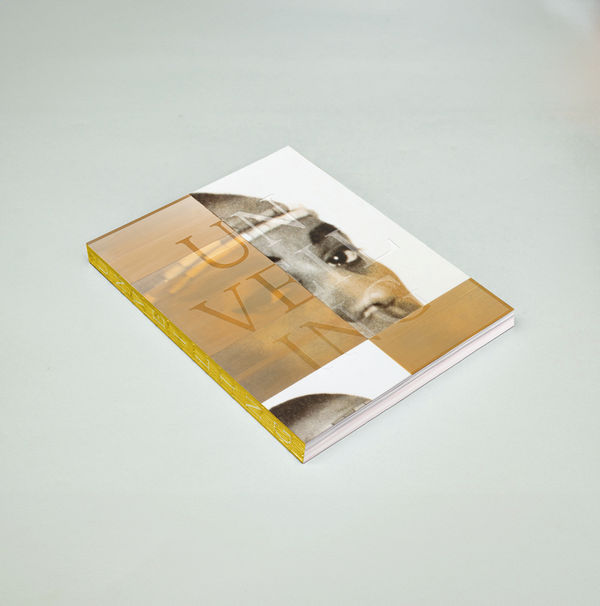 New Book from Alanna Fields