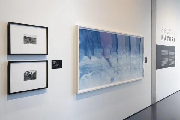 Matthew Brandt, Sze Tsung Nicolás Leong, and Meghann Riepenhoff at the Anchorage Art Museum