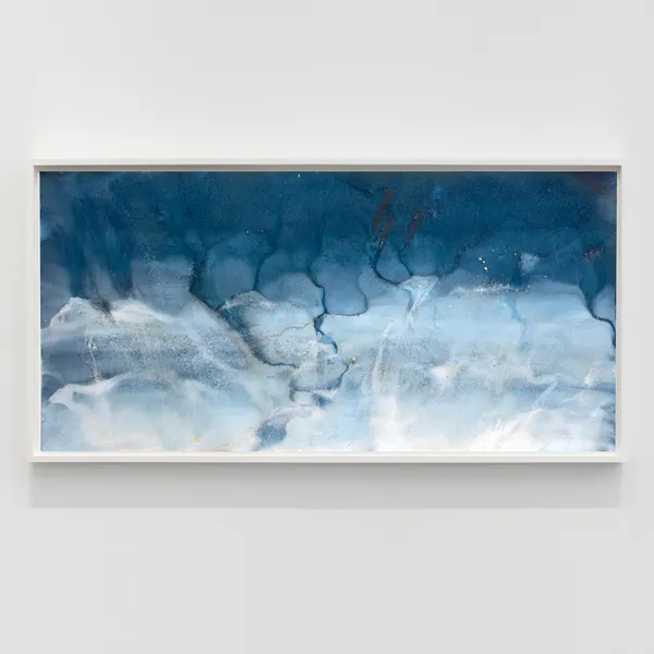 The deCordova Sculpture Park and Museum Acquires work by Meghann Riepenhoff, Museum Acquisition