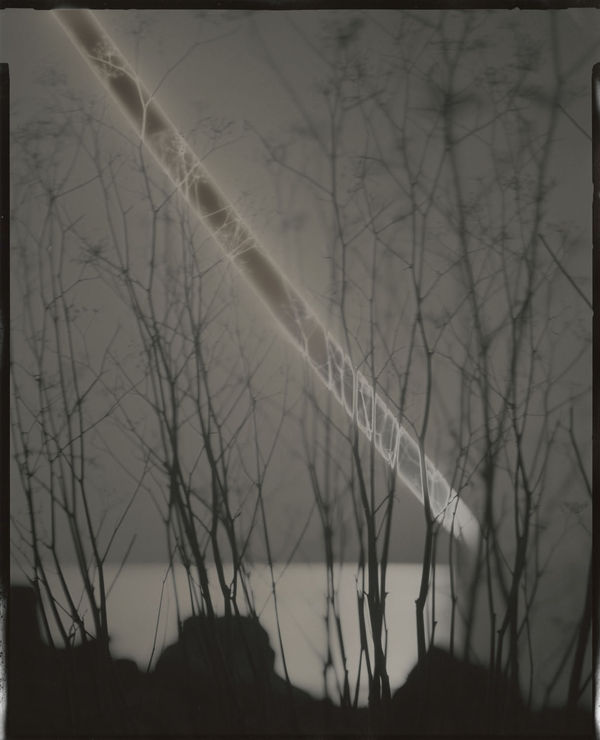 Chris McCaw (American, b. 1971) [Detail View] Sunburned GSP#555 (San Francisco Bay), 2012 Unique Gelatin Silver Paper Negative 10" x 8" (25.5 x 20.5 cm) Framed: 13 1/2" x 11 1/2" (34.5 x 29 cm)