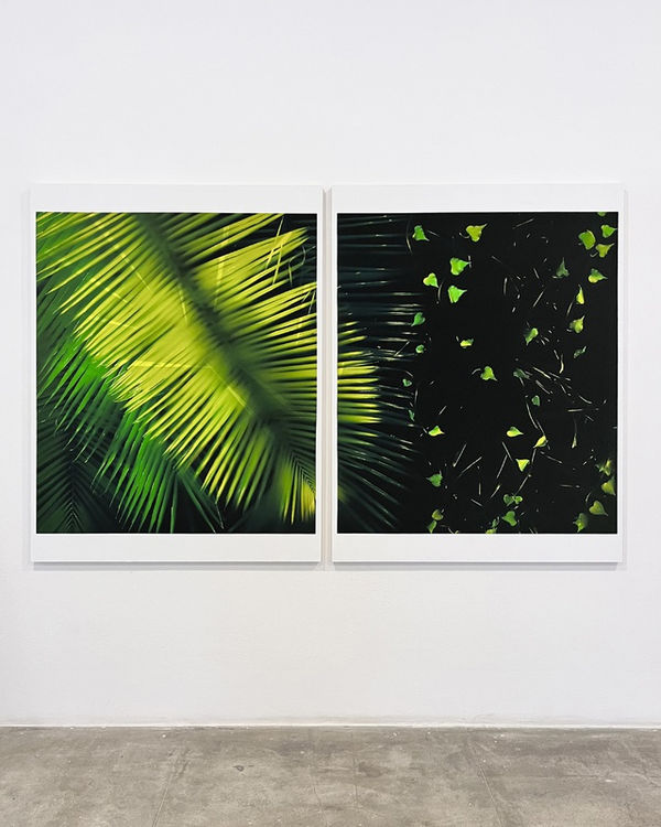 Marlon de Azambuja, Nocturna, 2022